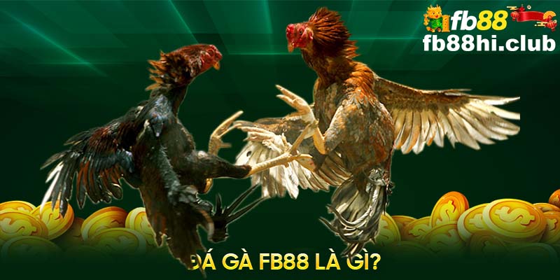 Đá gà FB88 đã được phát triển và cải tiến bởi các phiên bản truyền thống 